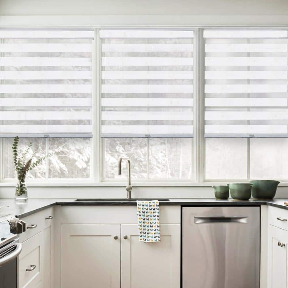 https://images.thdstatic.com/productImages/217cb0e9-eb95-494c-bbe8-009b4de6e89c/svn/basic-arctic-chicology-roller-shades-zsba4472-fa_1000.jpg