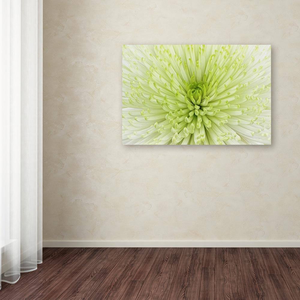 Large White and Green Floral Canvas Art
