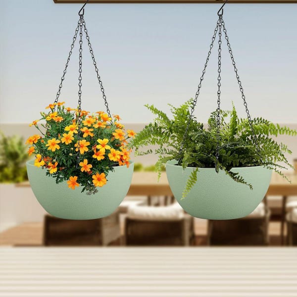 thuja smaragd 80-100 Thuja Smaragd 80-100 cm, RB  Outlet