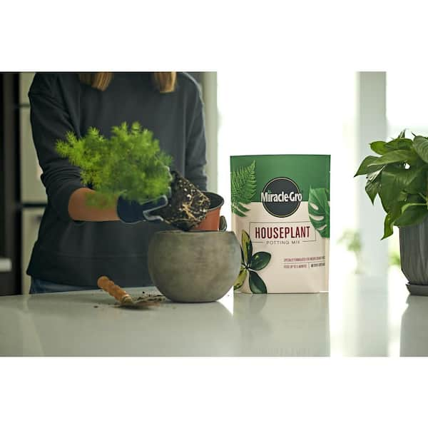 Repotting Kit (6” Pot)