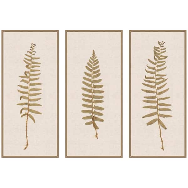 3 Piece Sylvie Plant Studies 3 by The Smithsonian American Art Museum Nature Framed Art Print Set 40 in. x 18 in.