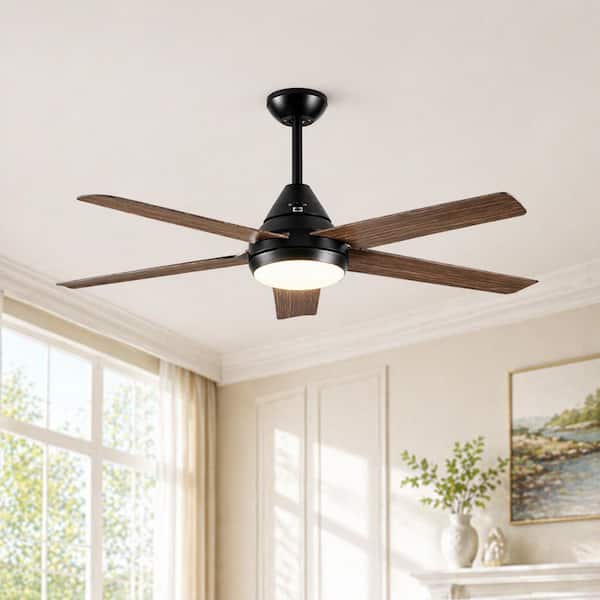 SkyView 48 in. Indoor/Outdoor Brown Wood Ceiling Fan with LED Light Bulbs and Remote Control