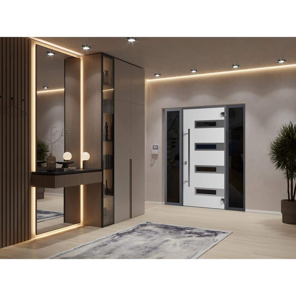 Modern Black Enamel Steel Front Door with Glass Inserts