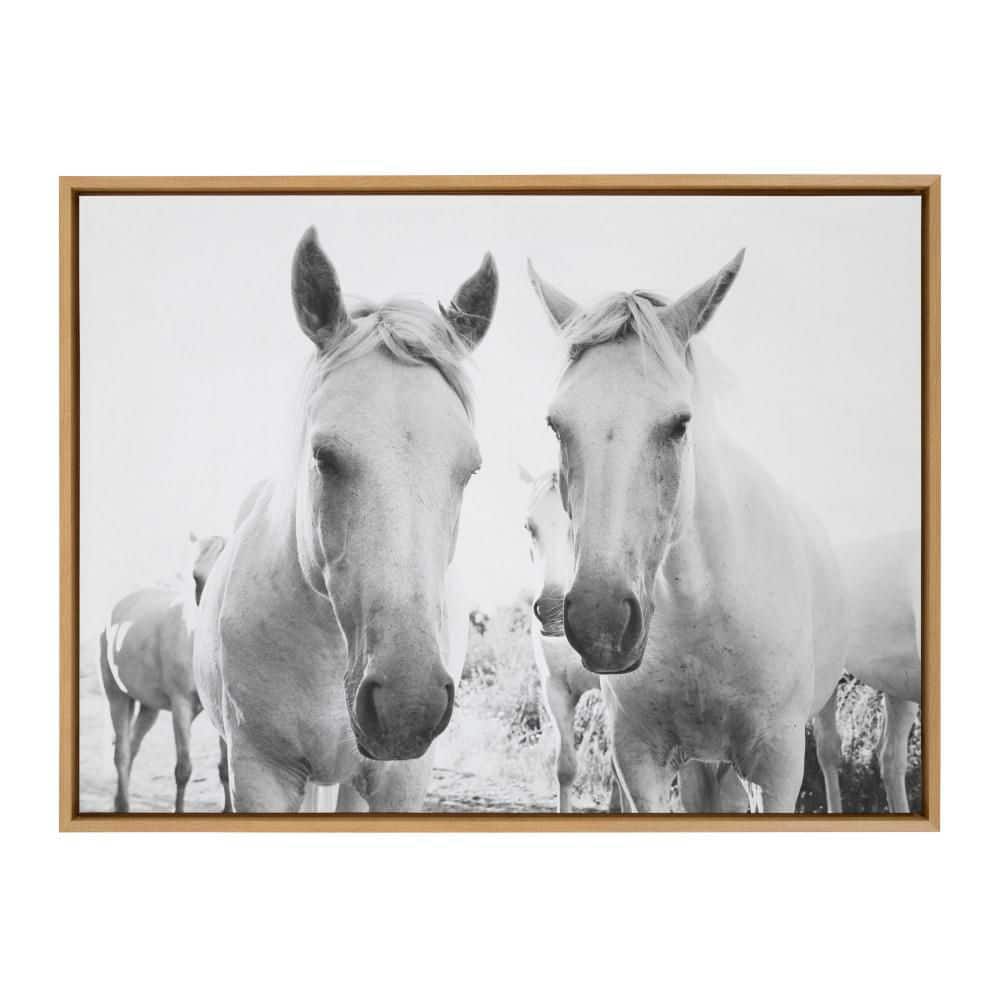 "Sylvie ""Camargue Horse XVII BW"" by Laura Evans Horse Framed Art Print 28 in. x 38 in." price history on PriceWatchPro