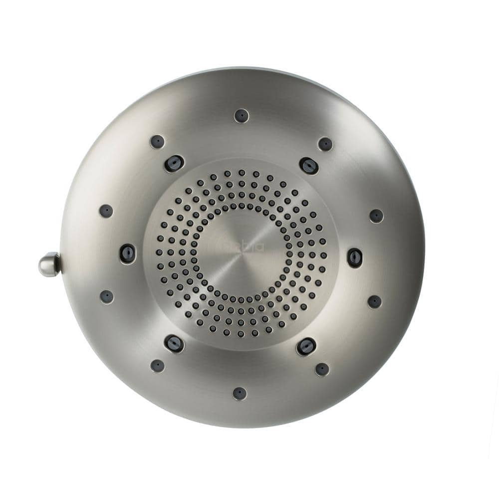 Micro bubble shower head in brushed nickel - ReliqPet