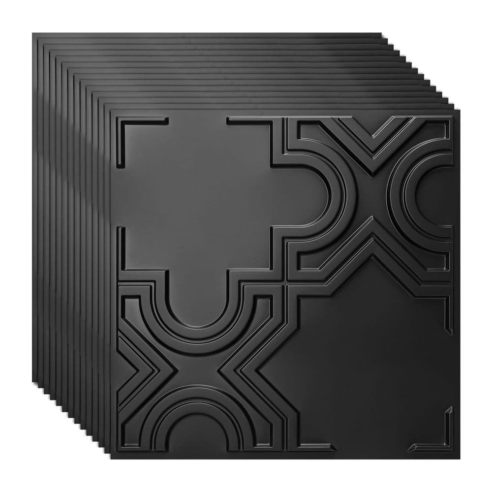 Black Texture 2 x 2 ft. PVC Water Resistant Drop In Ceiling Tiles for Home, Office and Gym, 12 Pack (48 sq. ft. /case) price history on PriceWatchPro
