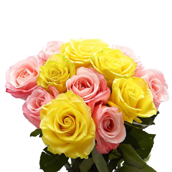 Globalrose 50 Stems of Roses 25 Yellow and Pink