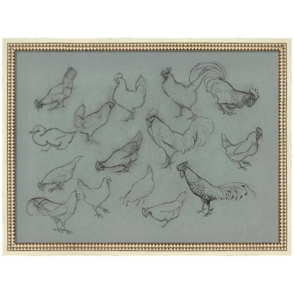 Castellan Study Sheet Chickens Julie de Graag by Nostalgia Prints Animals Framed Art Print 20 in. x 26 in. price history on PriceWatchPro