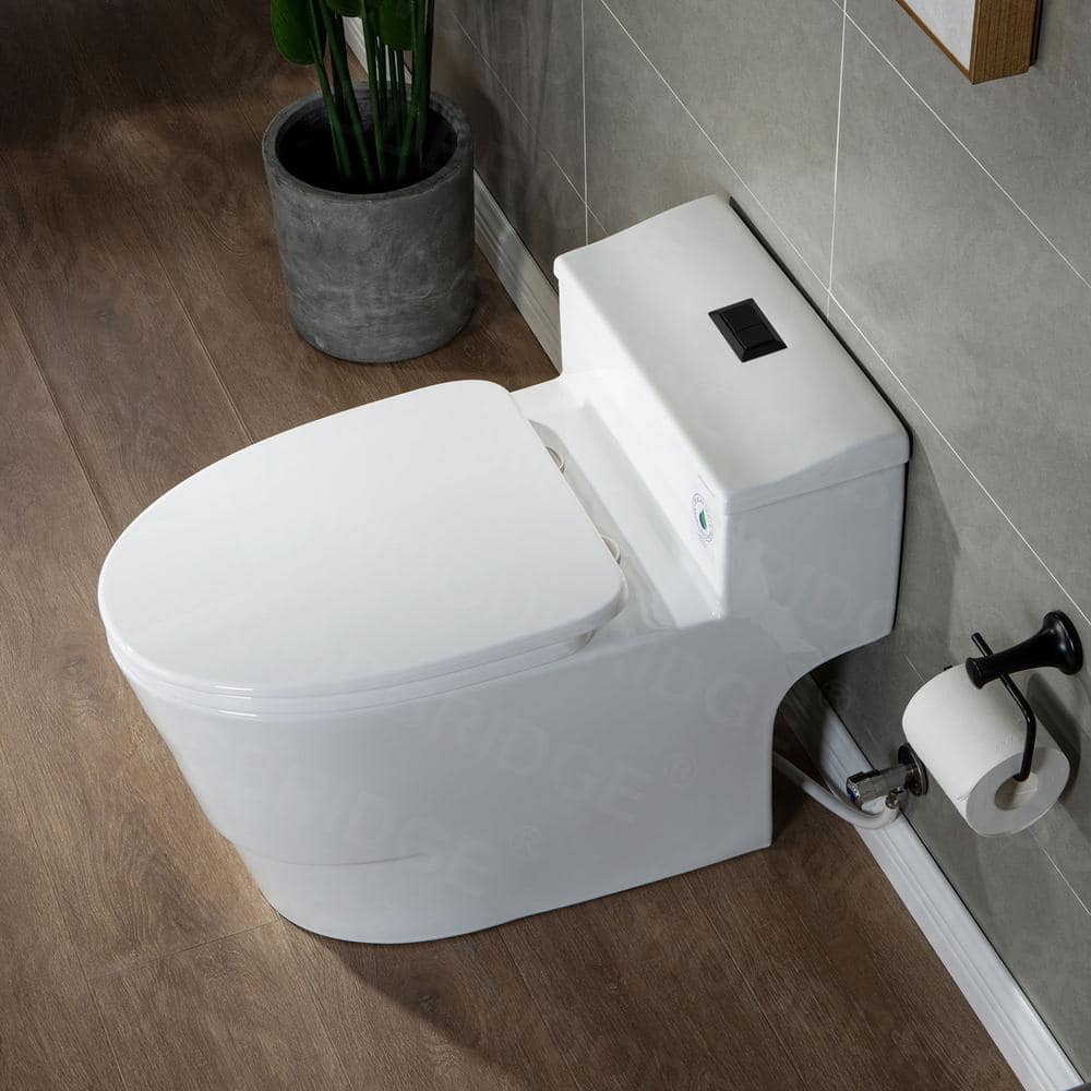 White Ceramic One-Piece Dual Flush Toilet with Chrome Button