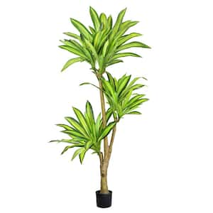 6 ft. Real Touch Artificial Dracaena Tree Plant in Pot