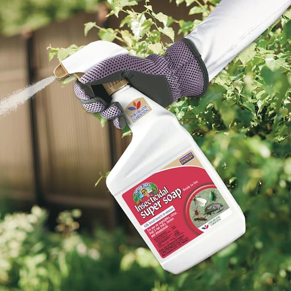Bonide Captain Jack's Insecticidal Super Soap, 32 oz. Ready-to-Use Spray  For Organic Gardening and Outdoor Plants 6556 - The Home Depot