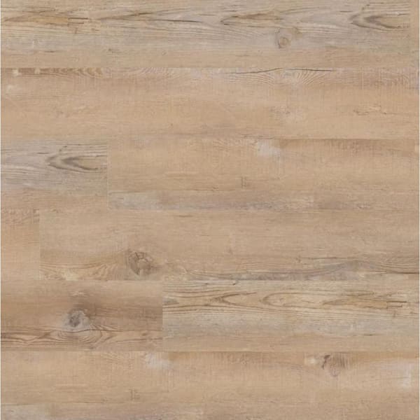 A&A Surfaces Take Home Sample - Woodlett Oak Bluff Glue Down Water Resistant Luxury Vinyl Plank Flooring