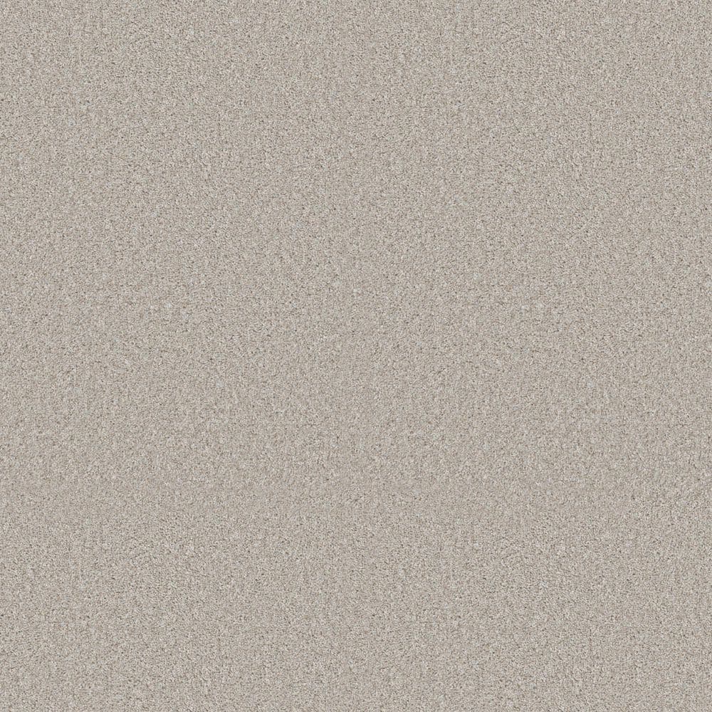 8 in. x 8 in. Texture Carpet Sample - Sunshine Cottage - Color Satin price history on PriceWatchPro