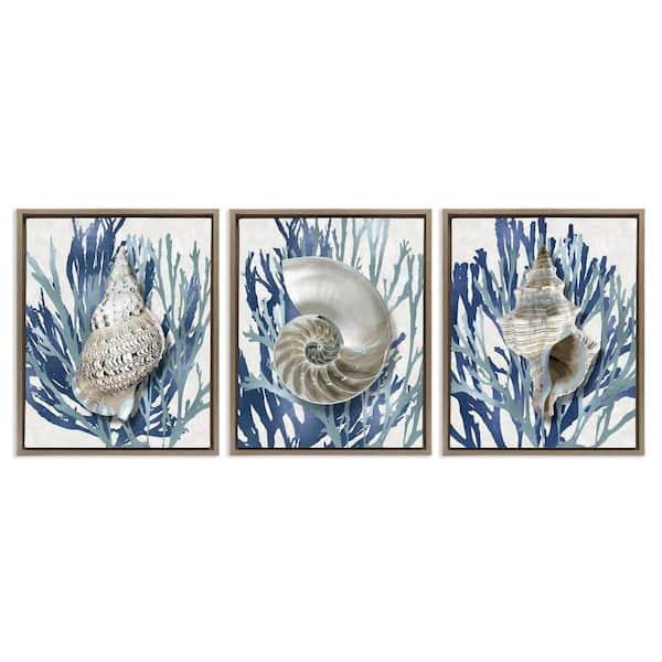 Trio of Shells and Coral by Caroline Kelly 3-Piece Brown Floater Frame Graphic Art Print Coastal 21 in. x 17 in.