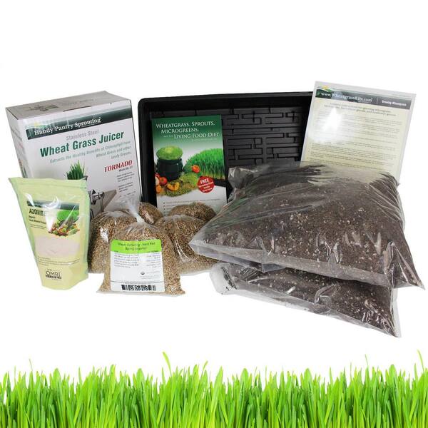 Living Whole Foods Organic Wheatgrass Growing Kit and Tornado Juicer Grow and Juice Wheatgrass