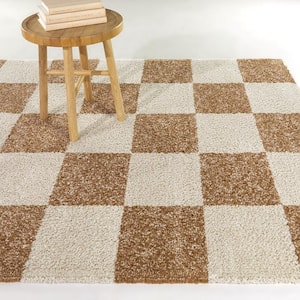 Reinhart Brown 5 ft. x 7 ft. Checkered Area Rug