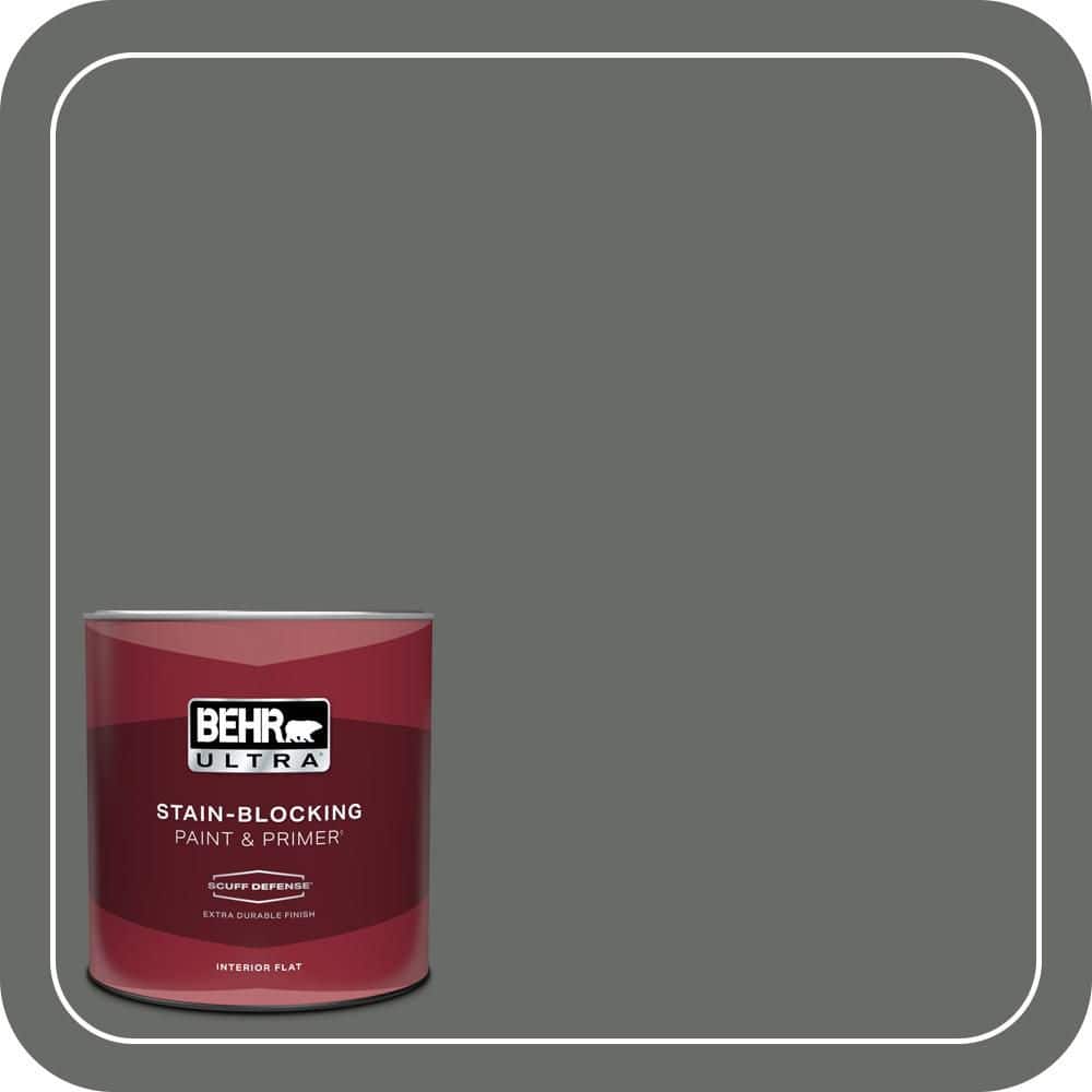 1 qt. #BNC-26 Lunar Basalt Extra Durable Flat Interior Paint & Primer price history on PriceWatchPro