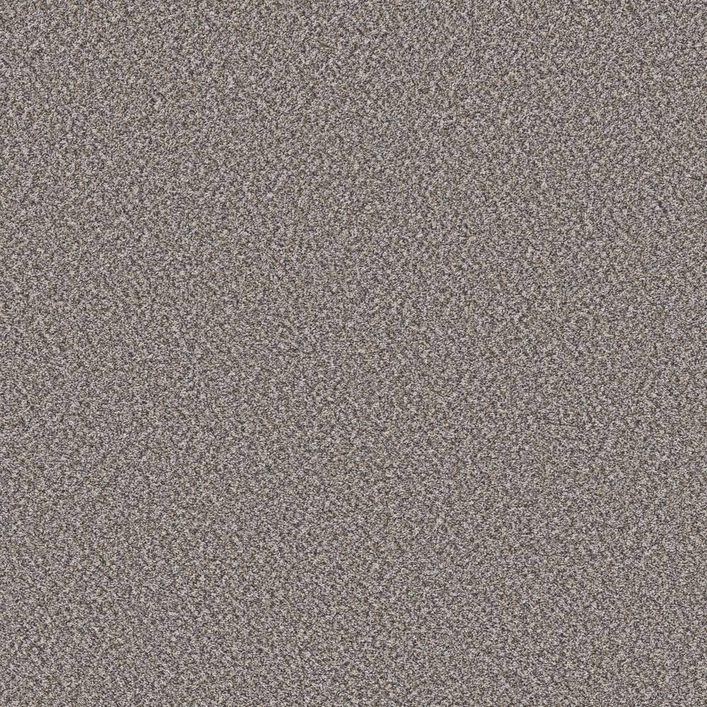 8 in. x 8 in. Texture Carpet Sample - Piece of Cake - Color Hazy Shadow price history on PriceWatchPro