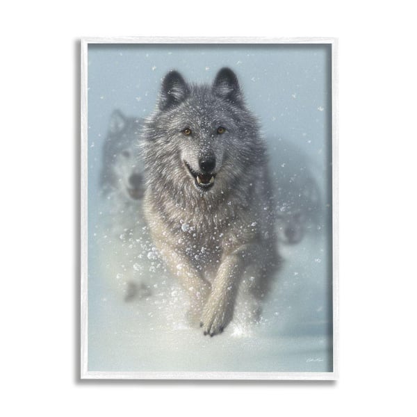 Stupell Industries Wolves Running Snow Siberian Wild Winter Animals By Collin Bogle Framed Print Nature Texturized Art 11 in. x 14 in.