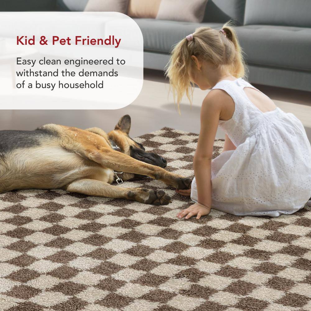 Adelaide Beige and Brown Synthetic Checkered Shag Area Rug 10' x 13'