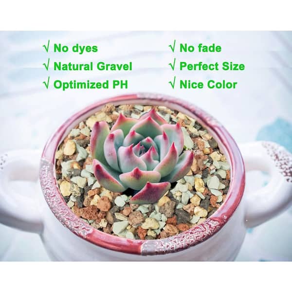 OGETFUUR 5 lb. Succulent and Cactus Soil Gritty Mix Rocks Gravel for  Terrarium Top Dressing Decorative Pebble Pot Soil Amendment FA9B-5P9 - The  Home Depot