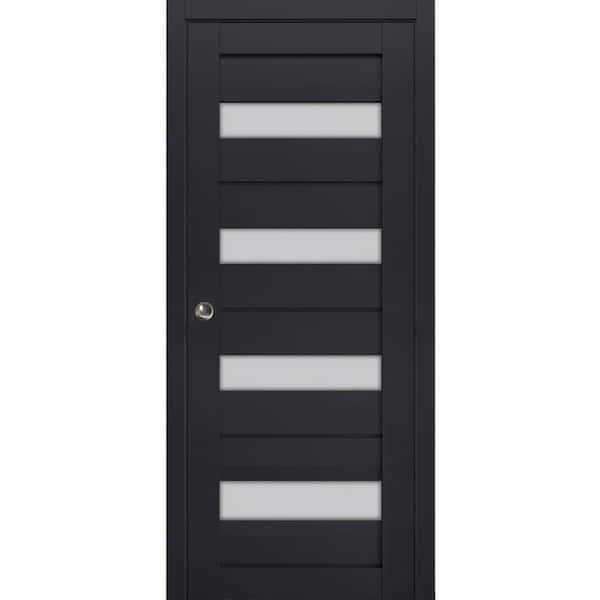 Sartodoors 30 in. x 80 in. 1 Panel Black Finished Solid Wood Sliding Door with Hardware