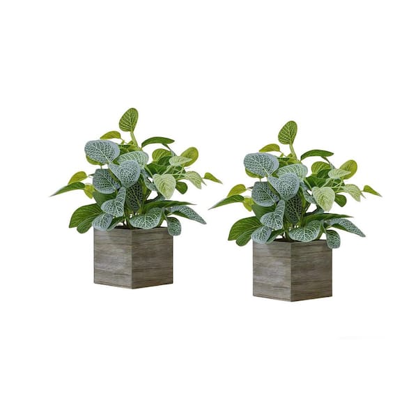 Regency International Natural Touch 42 in. Green Artificial Yucca