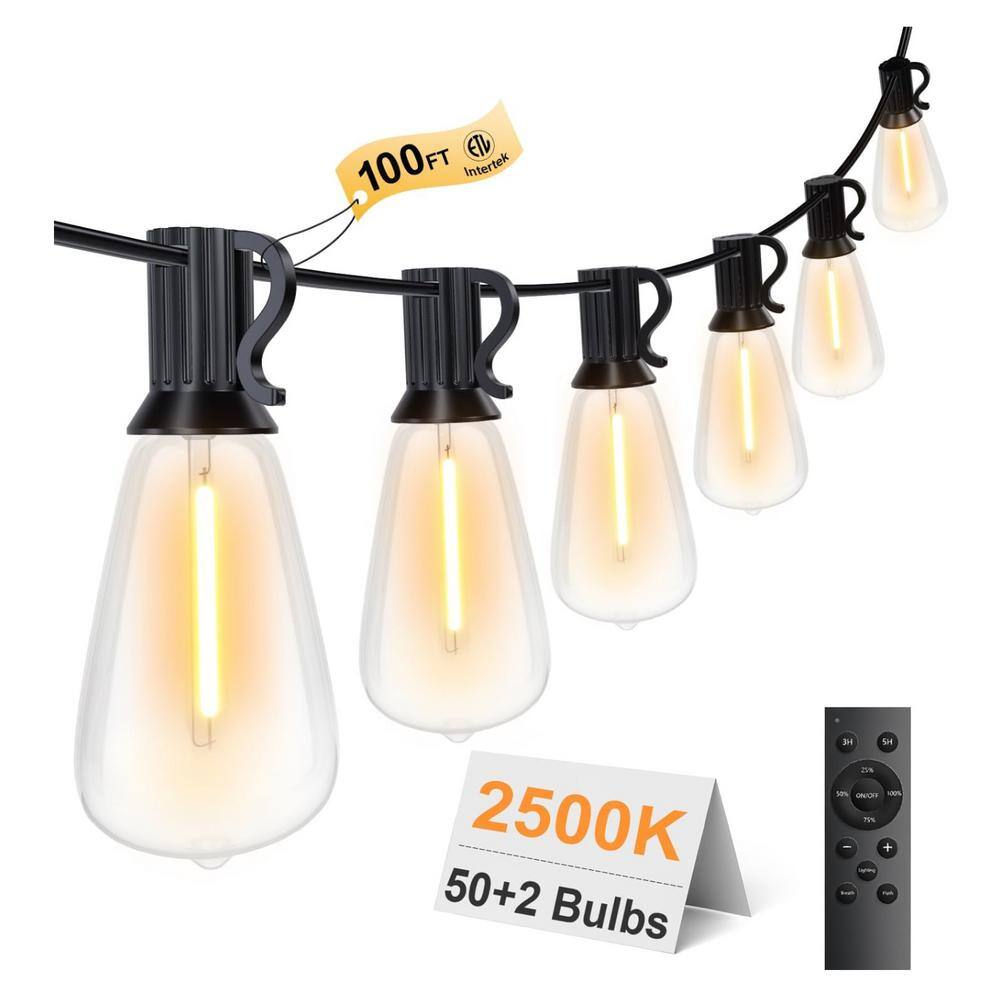 Lukyamzn 50 Light 100FT Outdoor LED Hanging String Light with Remote ...