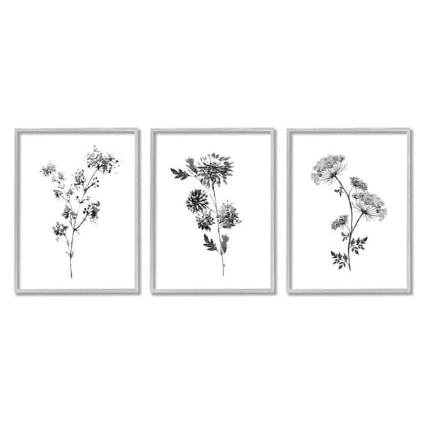 Stupell Industries Cornflower Wildflower Black Florals by Conrad Knutsen 3-Piece Framed Print Nature Texturized Art 24 in. x 30 in.
