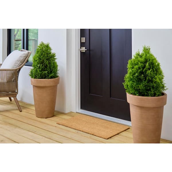 Ferndale Large Terracotta Orange Decorative Resin Planter (15.6 in. L x 15.6 in. W x 20.6 in. H)