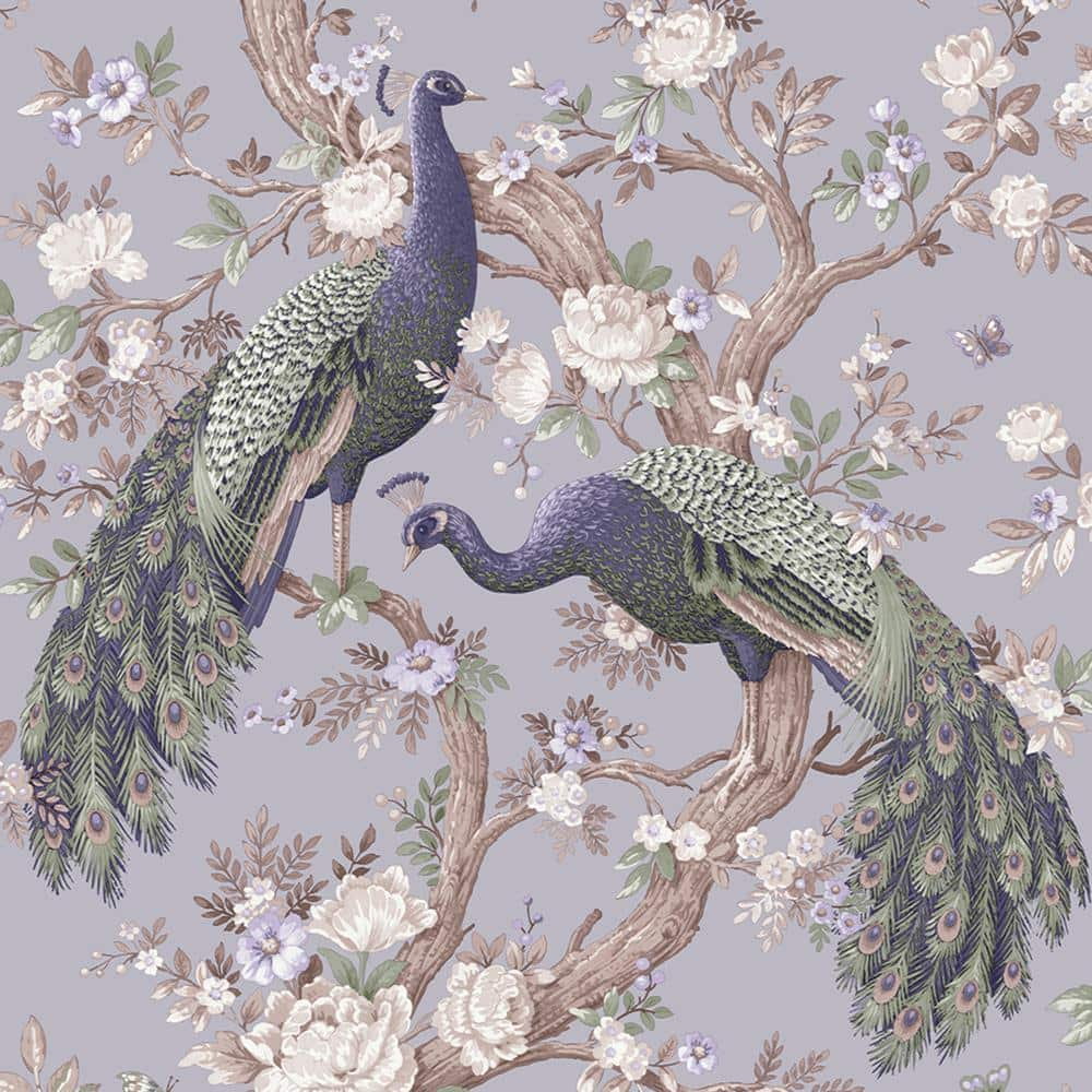 Laura Ashley Belvedere Pale Iris Removable Wallpaper 115253 - The