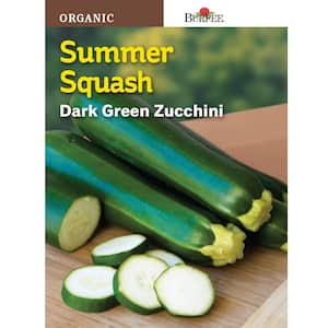 Squash Summer Dark Green Zucchini Organic Seed