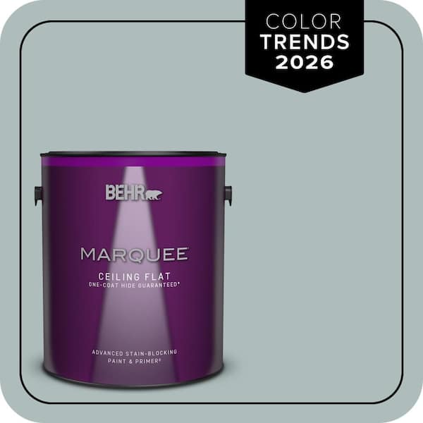 1 gal. Home Decorators Collection #HDC-CT-26 Watery One-Coat Hide Ceiling Flat Interior Paint & Primer