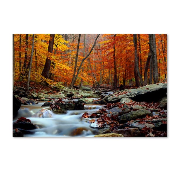 Trademark Fine Art 30 in. x 47 in. Ultimate Truth by CATeyes Canvas Wall Art Print