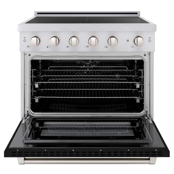 36 in. 5.2 cu. ft. Paramount Induction Range with 5 Element Cooktop in Stainless Steel with Black Matte Door
