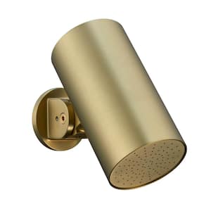 1-Spray Patterns with 6.9 GPM 3.15 in. Wall Mount Fixed Shower Head in Brushed Gold Rainfall Round