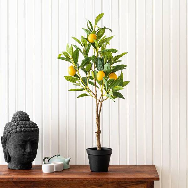 【NON】mother lemon tree all in one Brighter Blooms - Meyer Lemon Tree, 1-2 ft. - No Shipping To