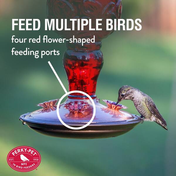 Perky-Pet 24 oz Garden Antique Red Glass Hummingbird Feeder Nectar Bird Supply 