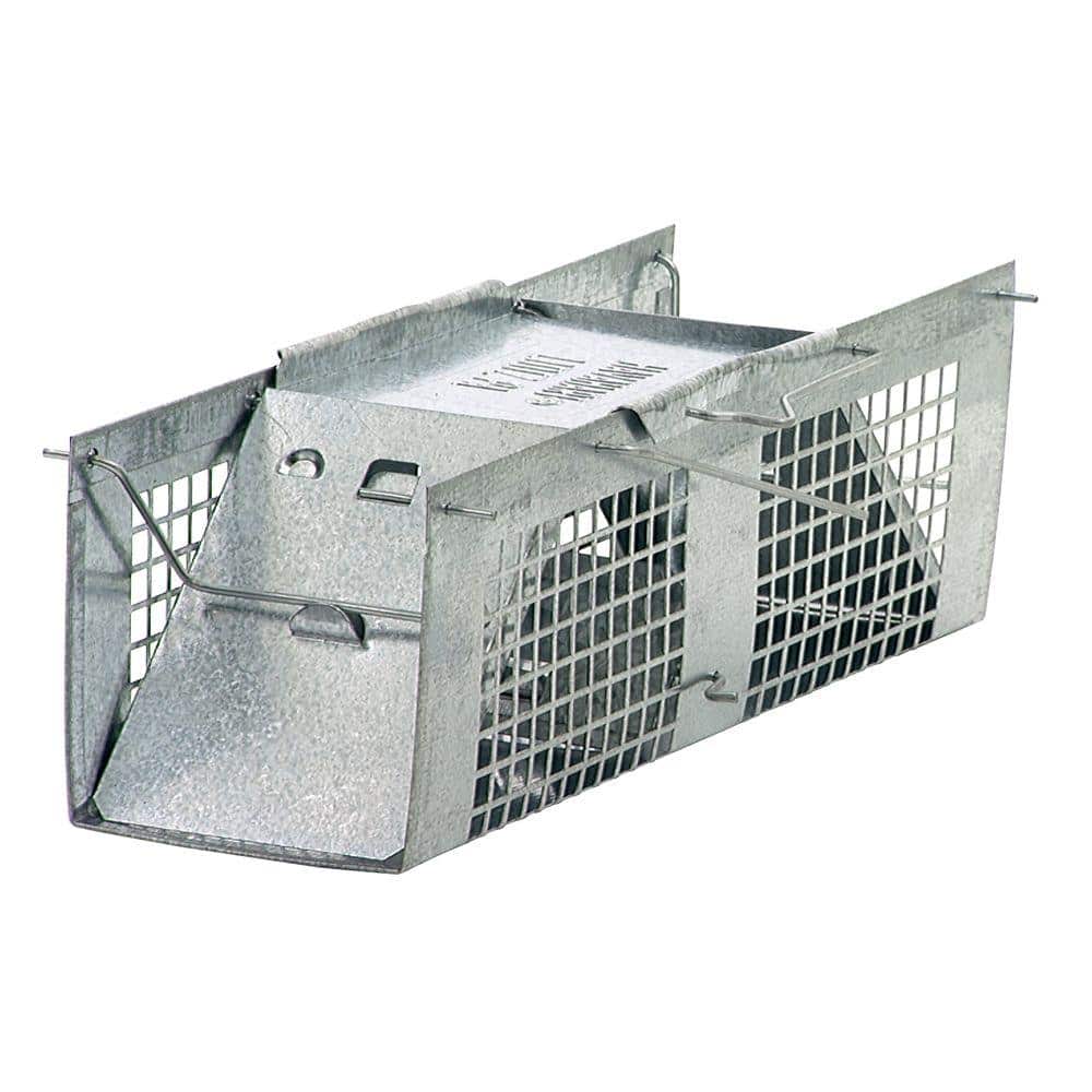 NewHome Rat Trap Cage, Dual Door Rat Trap Cage Humane Live Rodent Dense  Mesh Trap Cage Zinc Electroplating Mice Mouse Control Bait Catch with 2  Detachable U Shaped Rod 