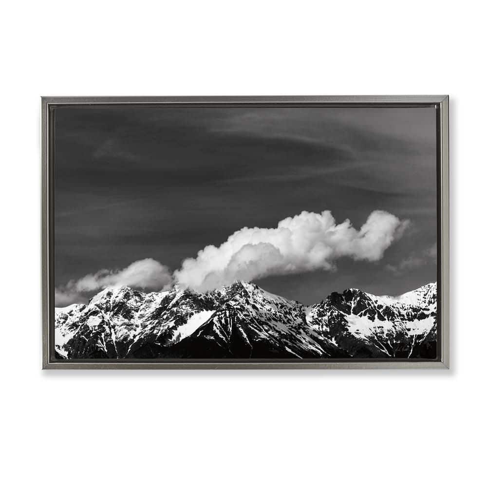 Dolomites with Billowing Clouds by Deborah Revell Gray Floater Frame Nature Graphic Art Print 21 in. x 31 in. price history on PriceWatchPro