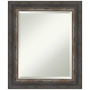 Bark Rustic Char 21 in. H x 25 in. W Framed Wall Mirror