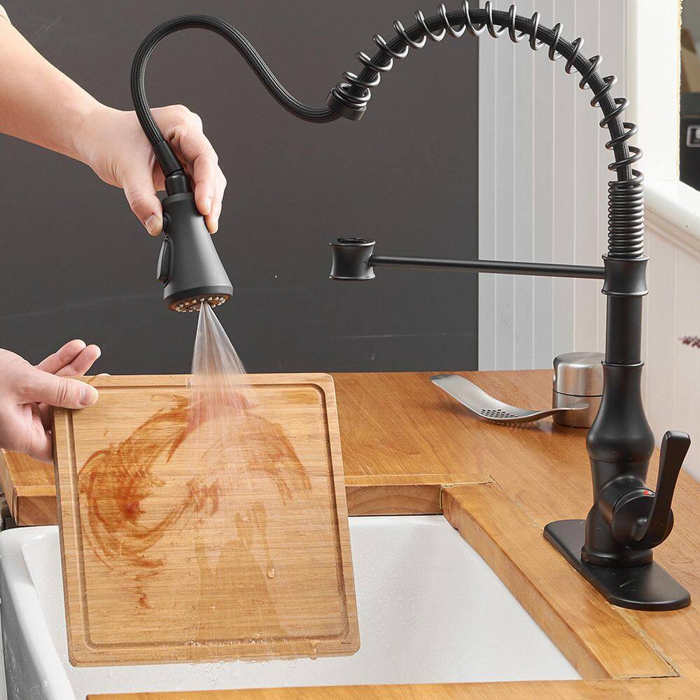Matte Black Pull-Down Kitchen Faucet with Deck Plate