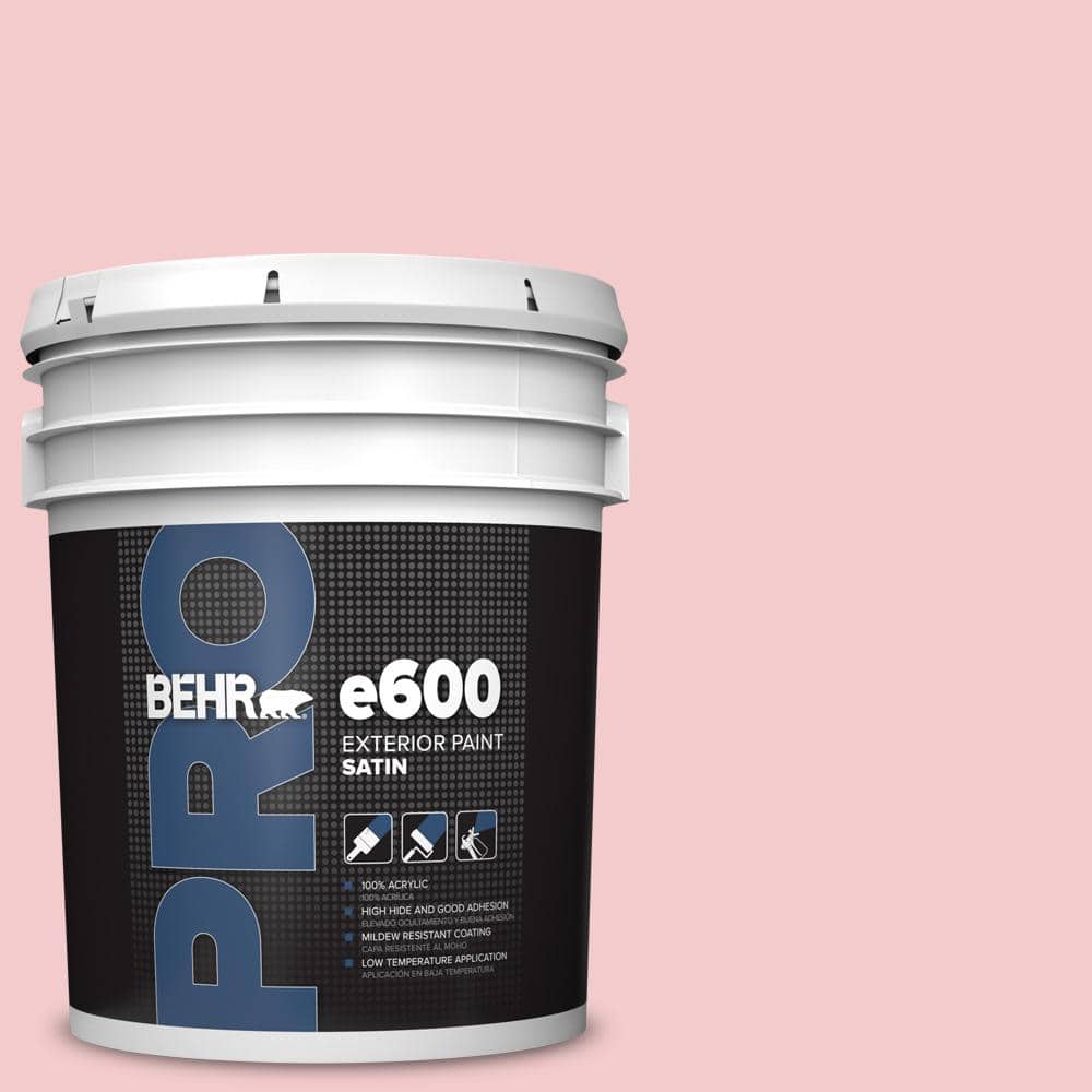 5 gal. #P160-1 Angel Kiss Satin Exterior Paint price history on PriceWatchPro