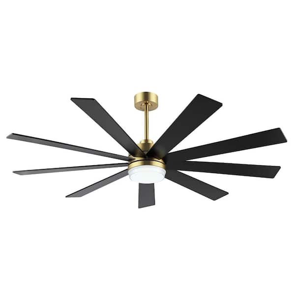 WINGBO 65 in. LED Indoor Black and Gold Ceiling Fan with Remote