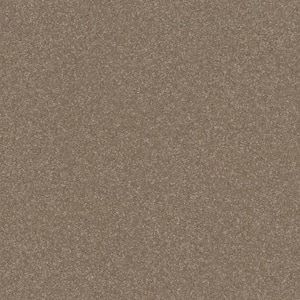 Blakely II - Elk-Beige 12 ft. 52 oz. High Performance Polyester Texture Installed Carpet