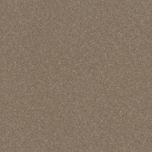 Lifeproof Blakely II - Elk-Beige 12 ft. 52 oz. High Performance Polyester Texture Installed Carpet