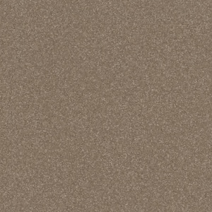 Blakely II - Elk-Beige 15 ft. 52 oz. High Performance Polyester Texture Installed Carpet