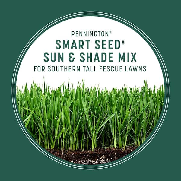 Scotts Turf Builder Sun And Shade Mix 20lb Mixture/Blend, 60 OFF