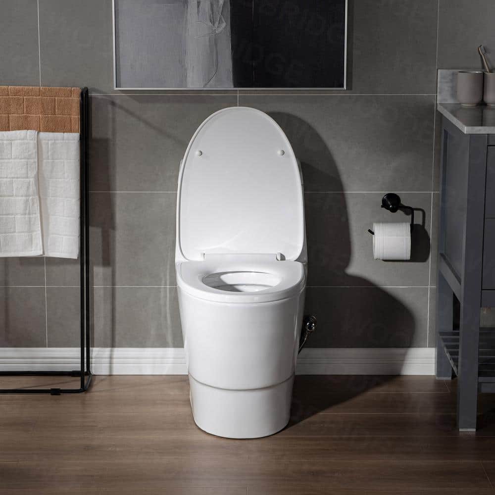 White Elongated One-Piece Dual Flush Toilet with Chrome Button