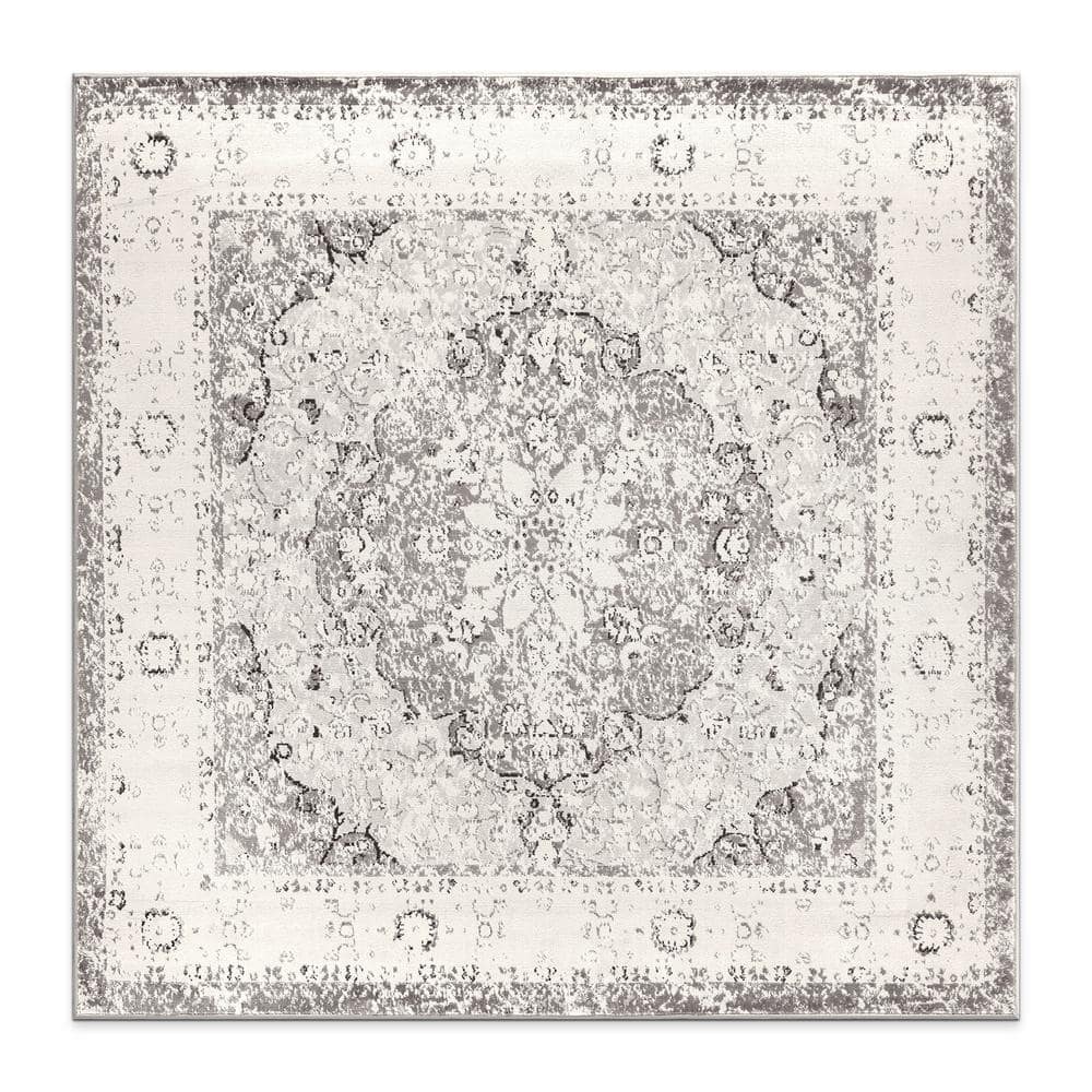 Monaco Gray 6 ft. 6 in. x 6 ft. 6 in. Square Traditional Medallion Area Rug price history on PriceWatchPro